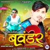 About Gando Lover - Bavandar 2 Song